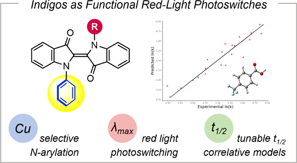 Accessing a Diverse Set of Functional Red-Light Photoswitches by Selective Copper-Catalyzed Indigo N-Arylation