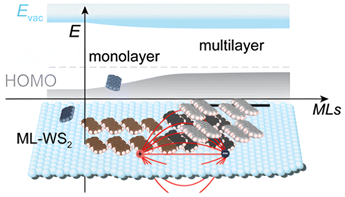 Terrylene on monolayer WS2: coverage-dependent molecular re-orientation and interfacial electronic energy levels